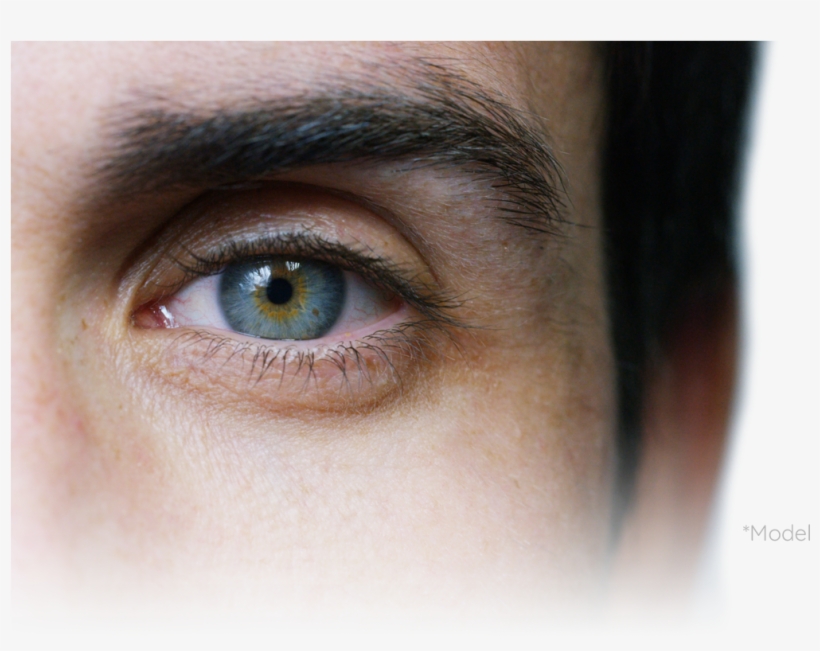 Close-up, transparent png #3753126