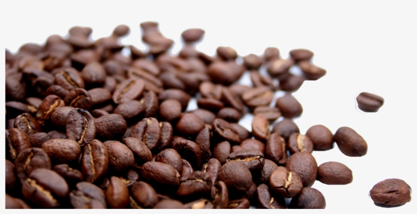 Coffee Beans No Background, transparent png #3753281