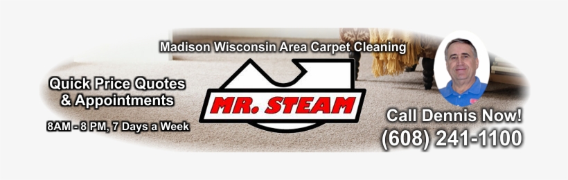 Steam Madison Carpet & Upholstery Cleaning - Hoover Type Y Vacuum Cleaner Disposable Bag 9 White, transparent png #3754874