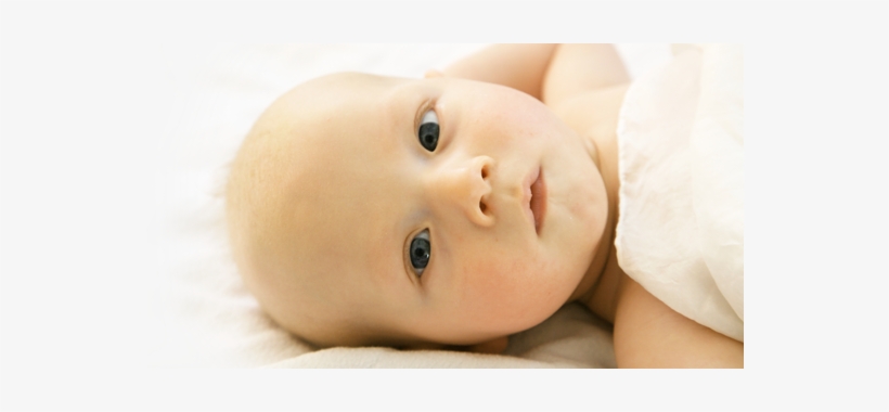 Banner Baby 1 - Infant, transparent png #3755933