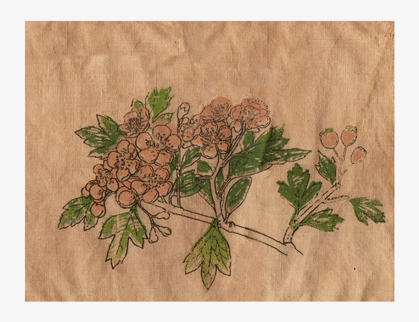 Patch-four - Swamp Maple, transparent png #3756852