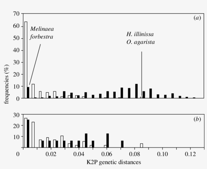 Distribution Of Within-species And Between Congeneric - Species, transparent png #3757178