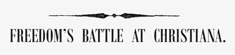 The Rule Of Law - Magnificent Christianity By Lillianne Long 9781635257717, transparent png #3757265