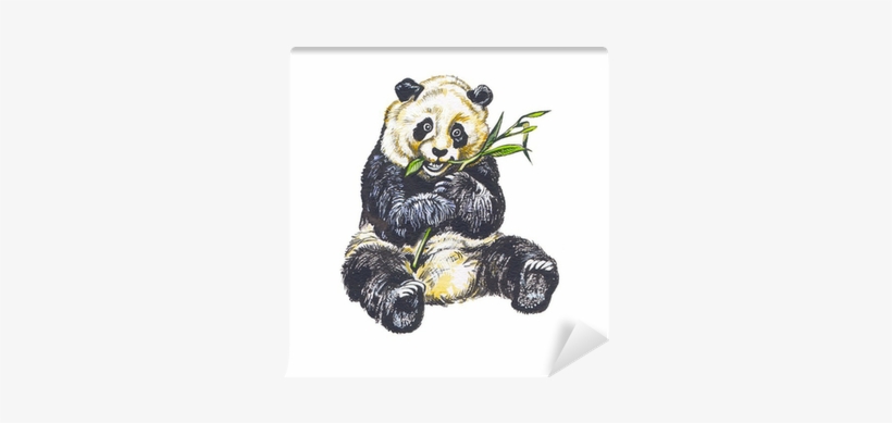 Panda Géant Dessin, transparent png #3758060