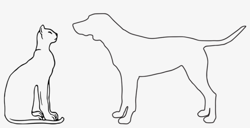 Animal Dog Cat - Stock.xchng, transparent png #3758159