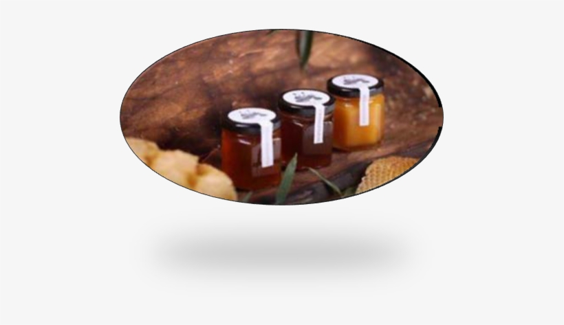 These Above Average Effects Are A Testimony Of The - Conga, transparent png #3758982