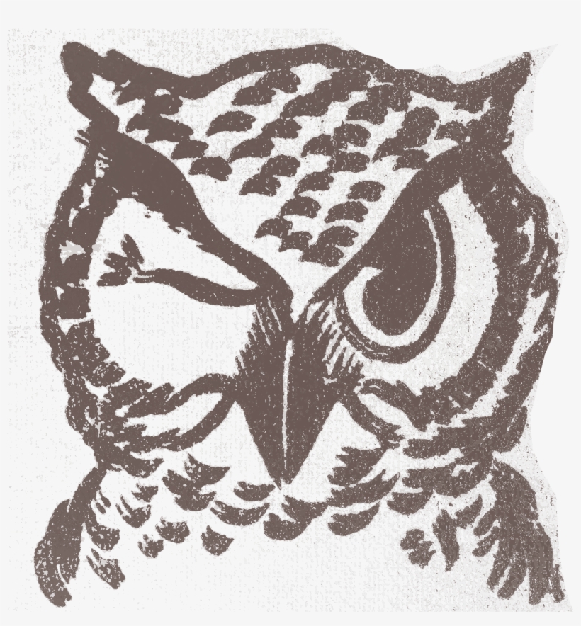 Start Owl - Start, transparent png #3759038