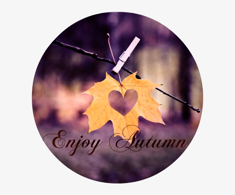 [enjoy Autumn] - Happy Friday The Skylark Dream, transparent png #3759263