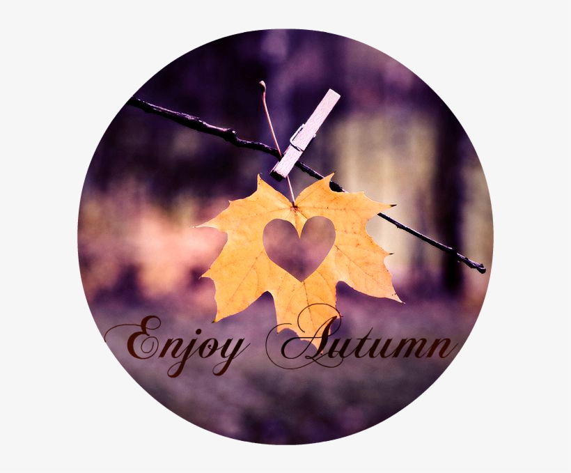 Веточки бохо. Enjoy autumn. Teachers autumn break. Happy autumn holidays. Листья дизайн.