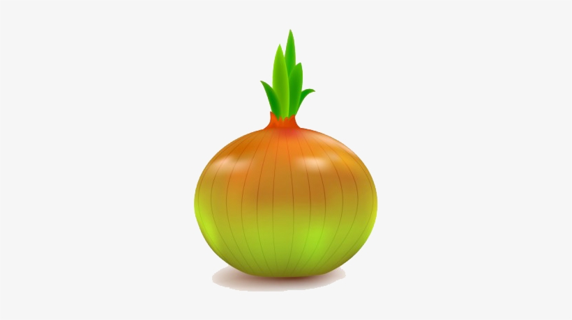 Onion Vector Png File - Vegetables Vector Png File, transparent png #3759602