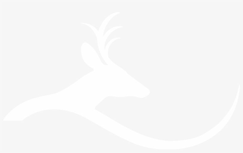 Deer Hill Expeditions Deer Hill Expeditions Deer Hill - Roe Deer, transparent png #3759685