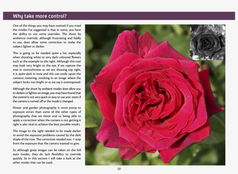 Joomla Plugins - Garden Roses, transparent png #3760183