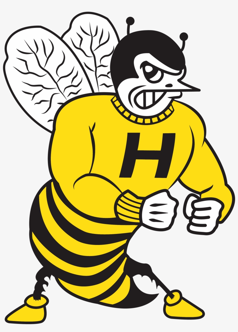 Hornet - Harvard Hornets, transparent png #3760319