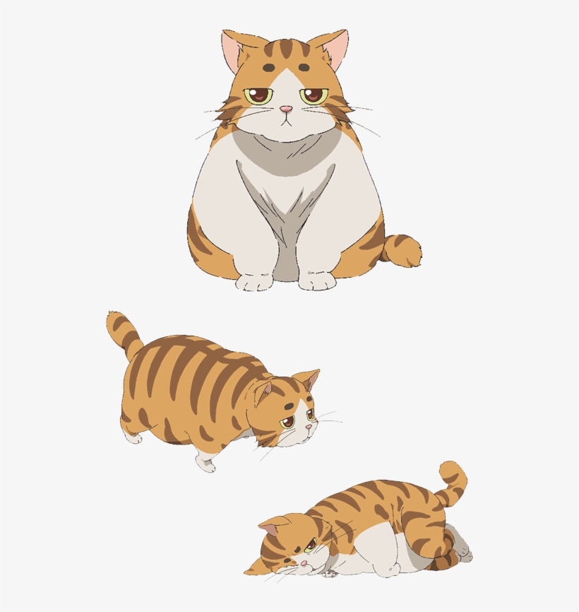 Img Main01 - Isoroku The Cat, transparent png #3760575