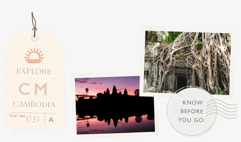 The Main Attraction Being The Awe-inspiring Ancient - Ta Prohm, transparent png #3760708