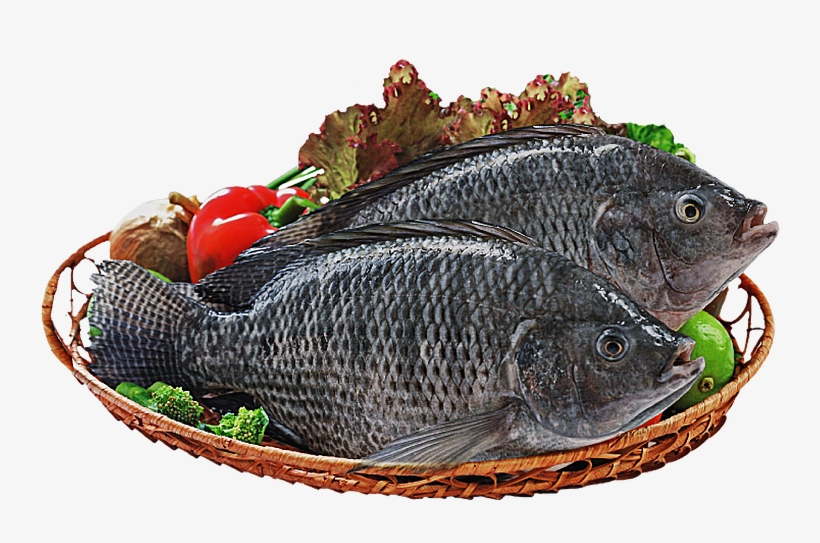 Whole Black Tilapia - Fish Products, transparent png #3761322