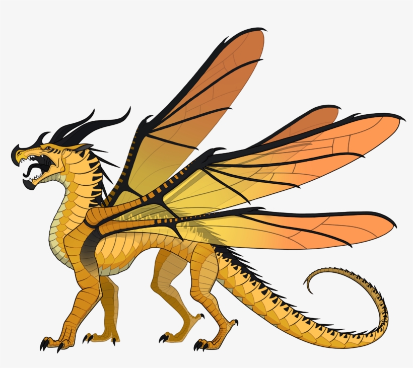 The Librarian - Wings Of Fire Cricket, transparent png #3761347