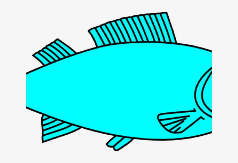 Tilapia Cliparts - Big Fish Outline, transparent png #3761472