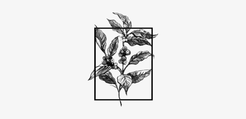Primavera Png, transparent png #3761560