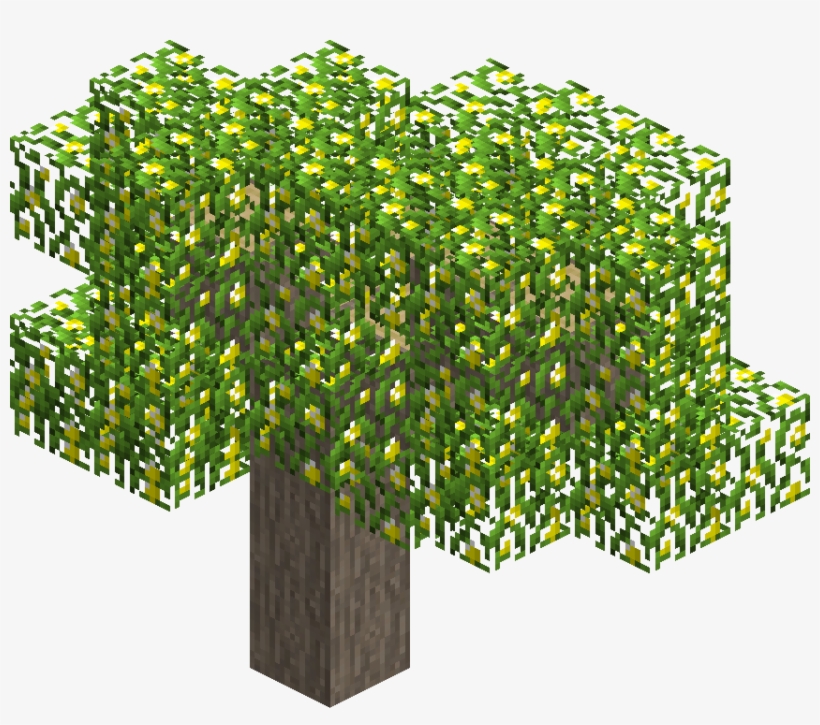 Lemontree - Tree, transparent png #3761954
