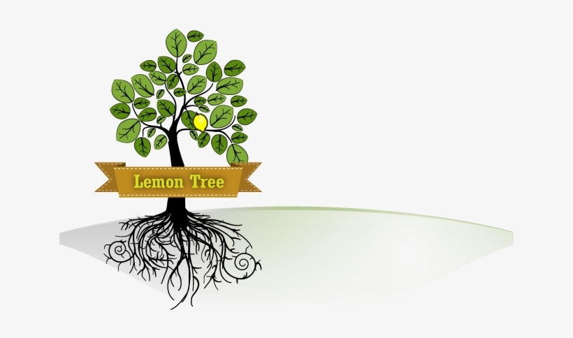 Lemon Tree Apps - Wood Sorrel, transparent png #3762347