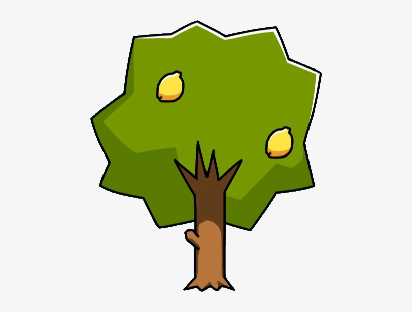 Lemon Tree - Wiki, transparent png #3762554