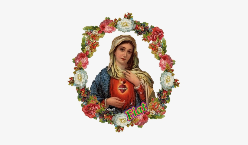 Imágenes Animadas De La Virgen María - Virgin Mary With Flowers, transparent png #3762649