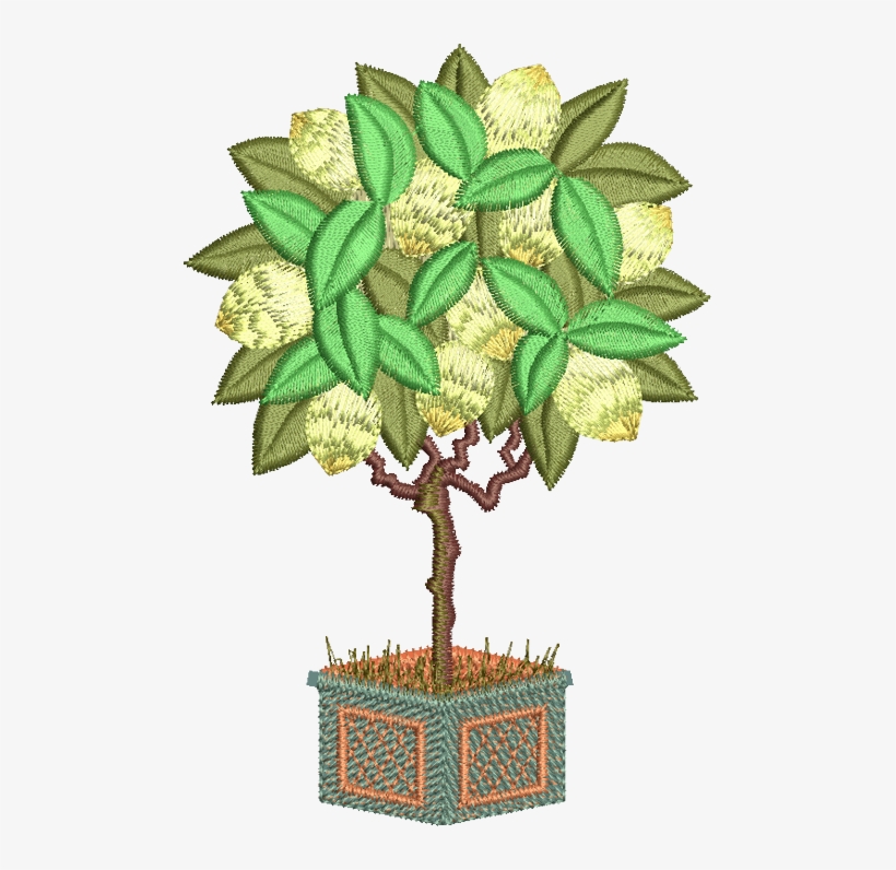 27 - Lemon Tree - Tree, transparent png #3762966