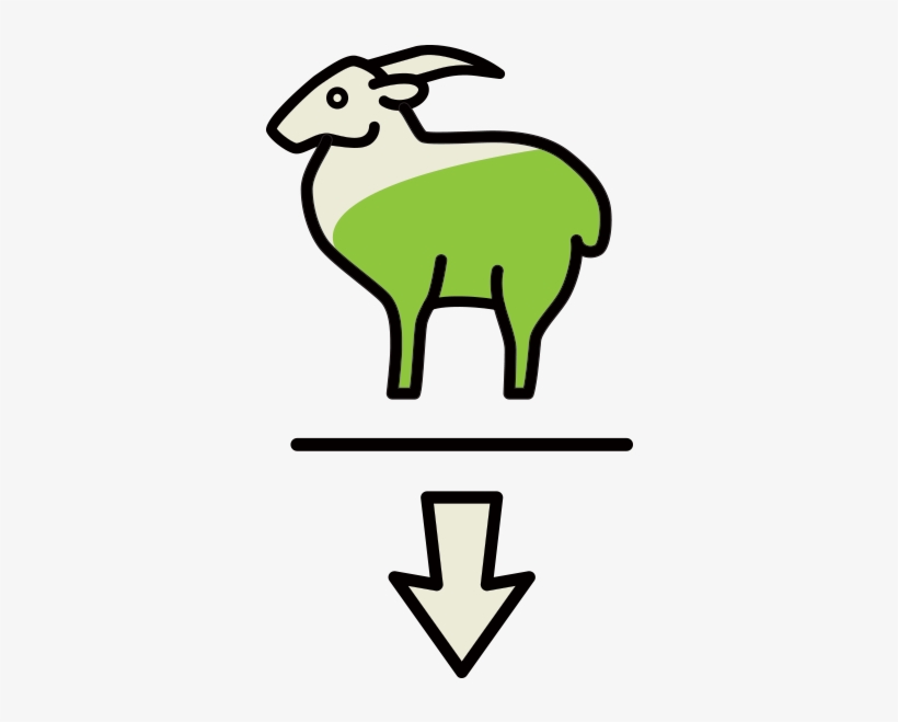 Global Distribution Of Goats In - Sheep, transparent png #3764551