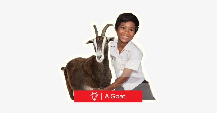 Inner Life Of Animals, transparent png #3764573