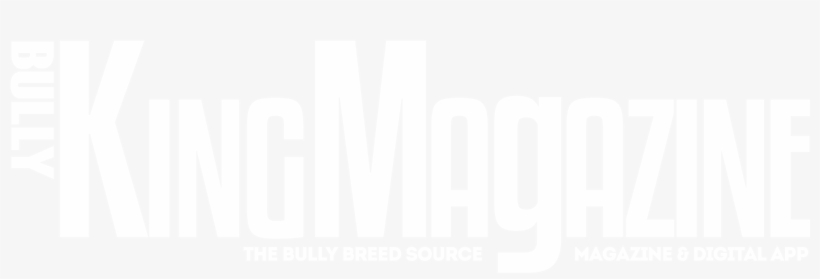Bully King Magazine - Darkness, transparent png #3764575