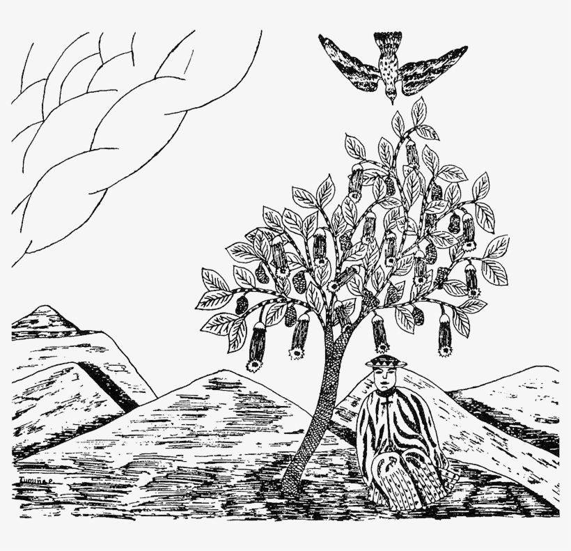 A Native Drawing Of The Tree Of The Evil Eagle - Brugmansia Shaman, transparent png #3766051