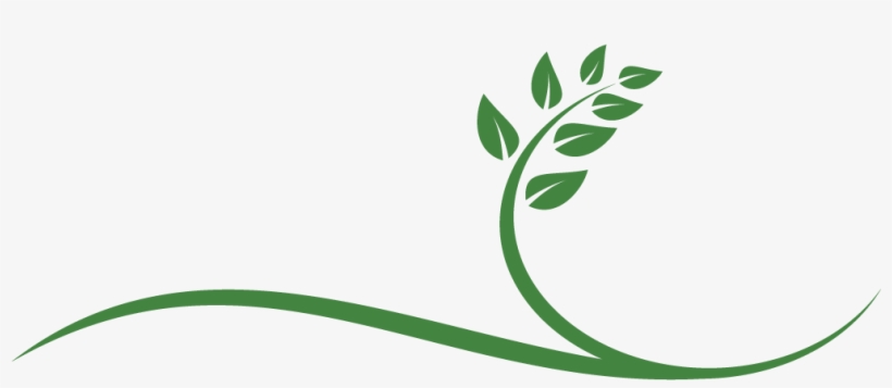 Light Life Living A New Approach To Help You 'live, transparent png #3766369