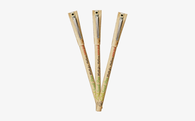 After Usage It Grow Into A Tree - Paper, transparent png #3768226