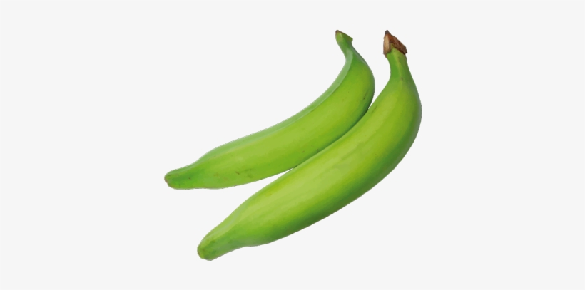 Plantain - Platano Verde Nombre Cientifico, transparent png #3769135