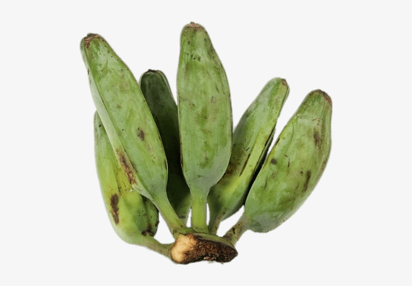 Download - Cooking Banana, transparent png #3769157