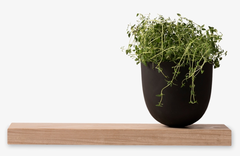 Grow Pot-0 - Pot Plants Png Kitchen, transparent png #3769286