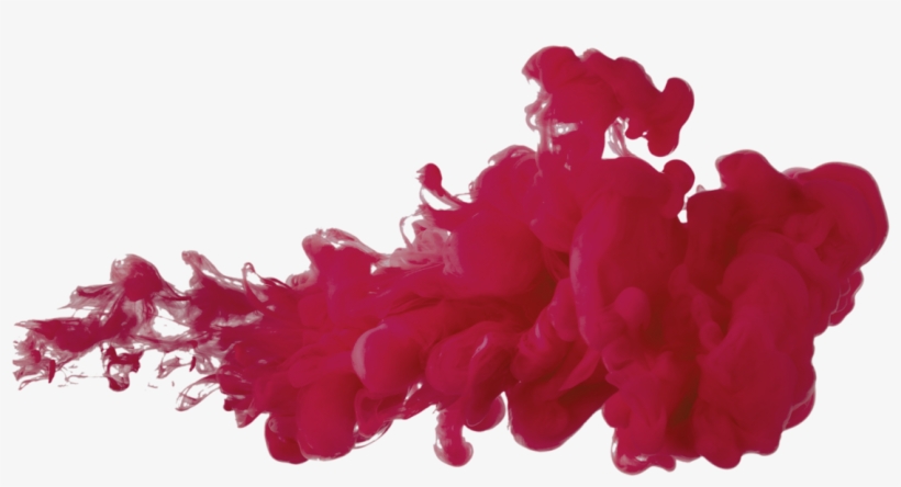 Com Baile - Cockscomb, transparent png #3770387