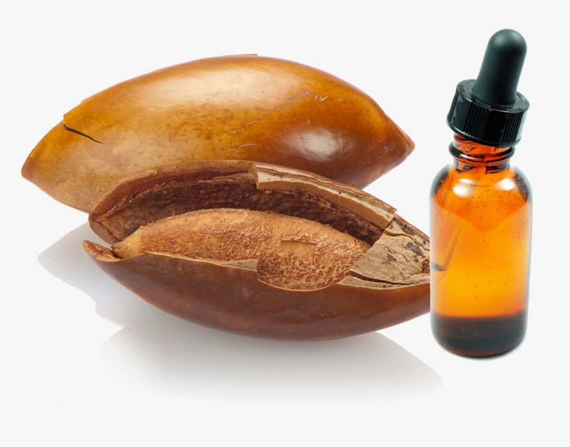 Hueso De Mamey, transparent png #3770554