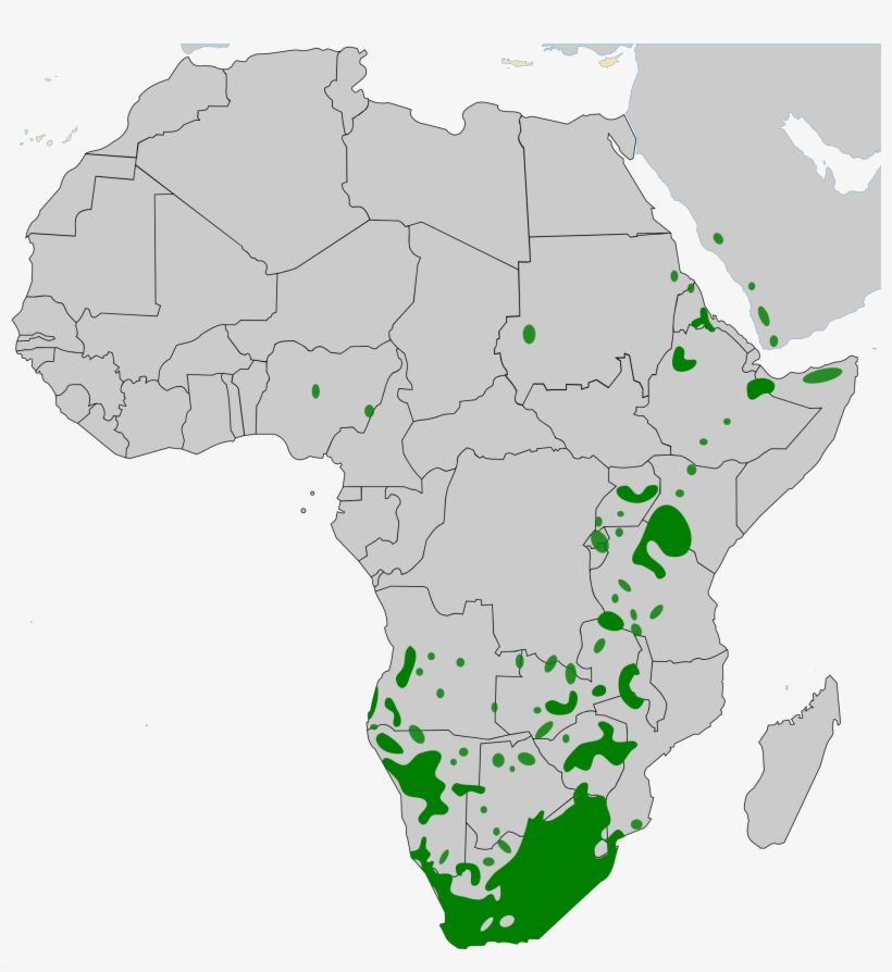 Open - East African City State Of Mogadishu, transparent png #3770634