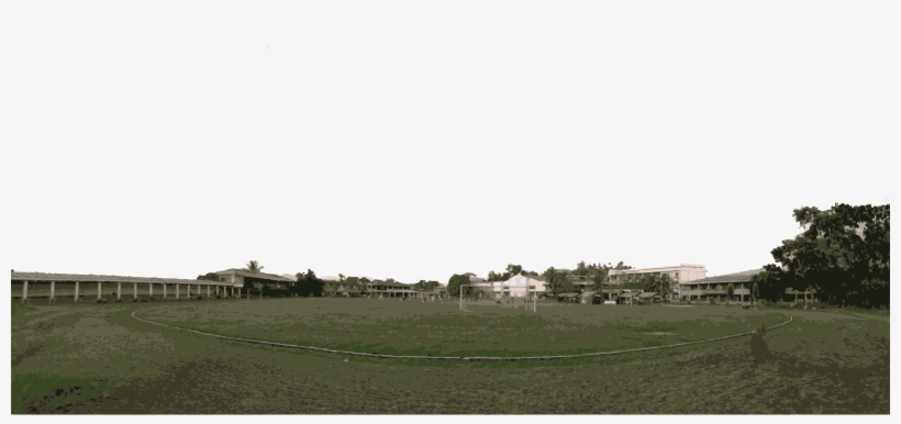 Nwssu Scc Oval Vector - Oval, transparent png #3770703