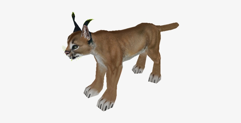 Download Zip Archive - Zoo Tycoon 2 Caracal, transparent png #3771916