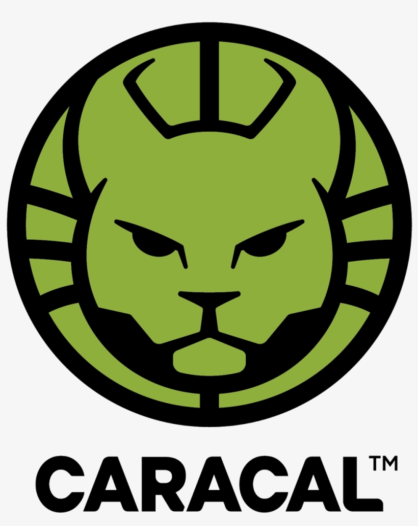Caracal Png, transparent png #3772064