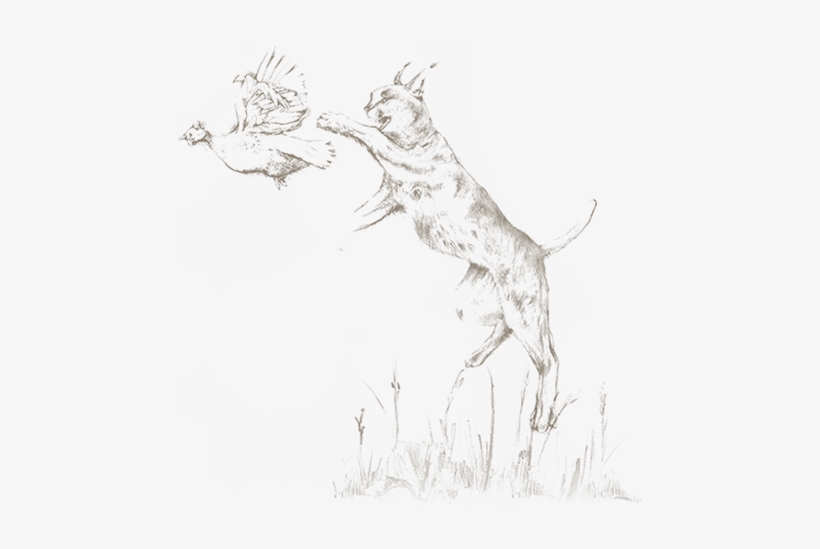 Back To Blog - Sketch, transparent png #3772259