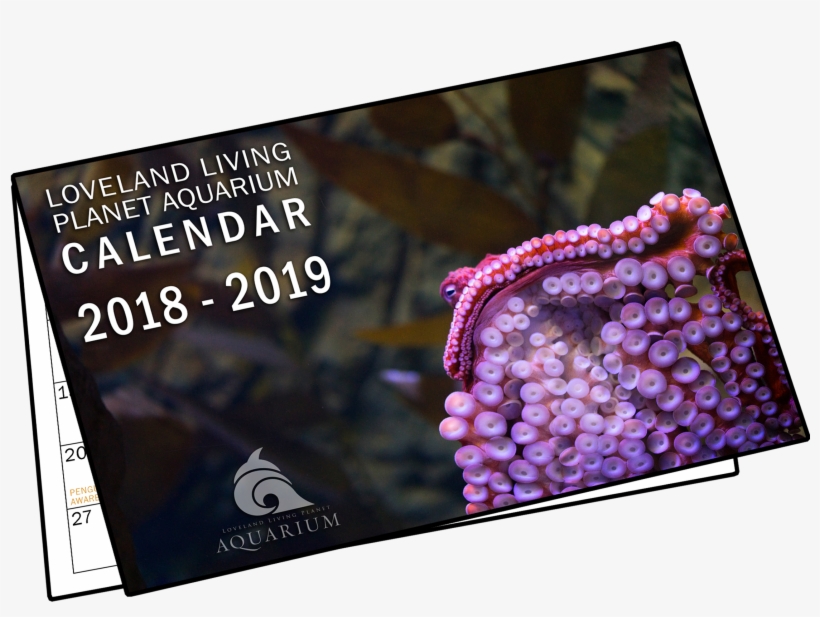 Download Book Format Calendar - Online Advertising, transparent png #3772275