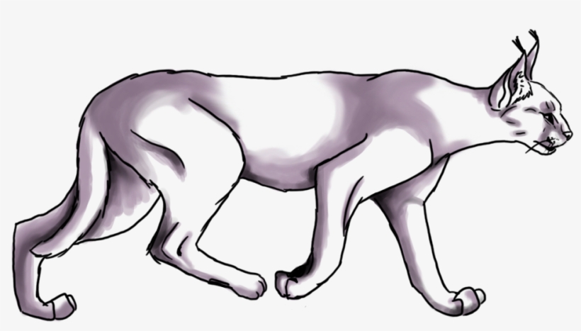 Skitzo Be Sketchin - Jaguar, transparent png #3772393