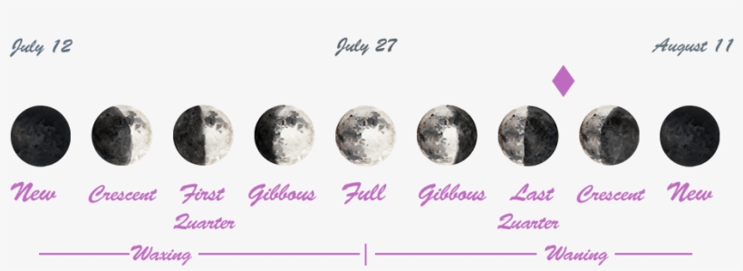 The Purple Marker Above Shows Where We Are In The Current - Sphere, transparent png #3772394