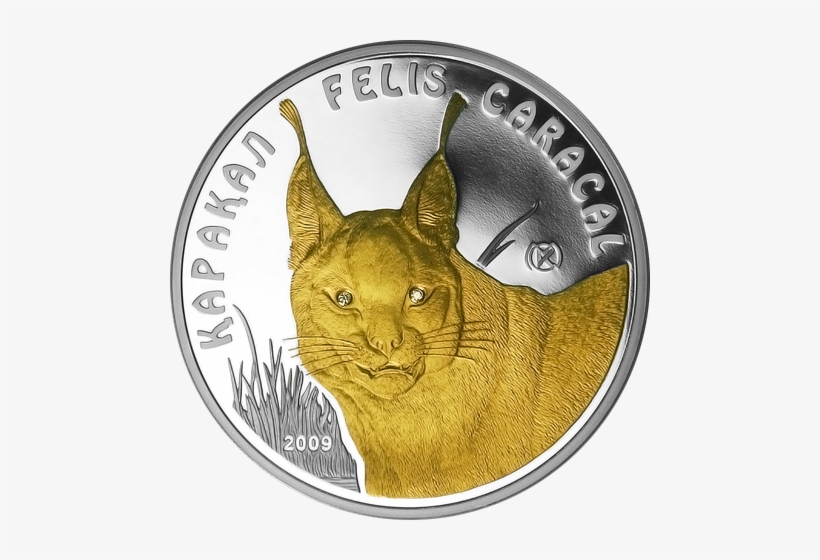 Caracal Proof Silver Coin 100 Tenge Kazakhstan - Silver, transparent png #3772595