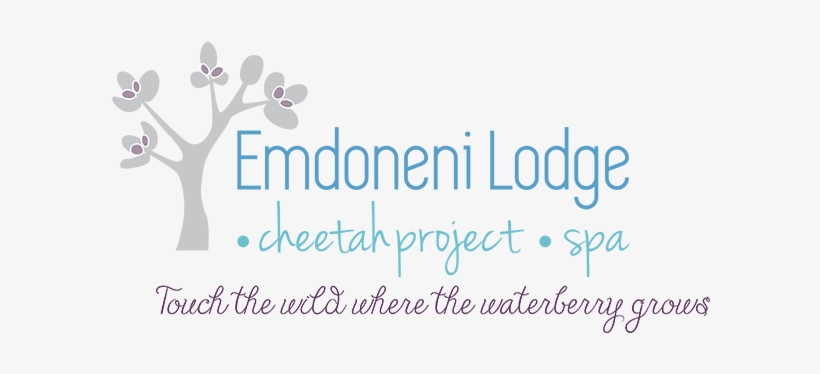 Emdoneni Lodge - Spa Project, transparent png #3773242