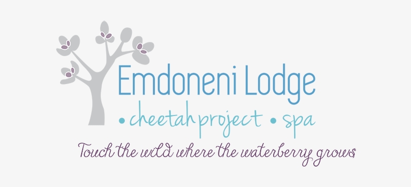 Emdoneni Lodge - Spa Project, transparent png #3773242